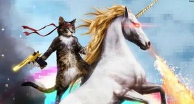 cat-unicorn600x322.jpg