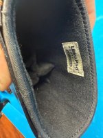 IMG_3321.jpeg