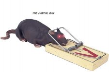 RAT.jpg