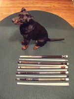 2009_0307PoolJack0074.jpg