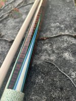 IMG_3858.jpeg