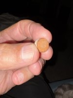 IMG_0107.jpeg