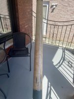 IMG_4956.jpeg