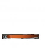 Copy of gold-crown-tangerine pic.jpg