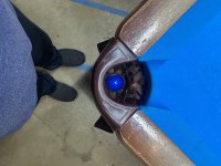 IMG_9312.JPEG