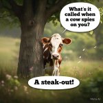 FB_IMG_1739043380217.jpg