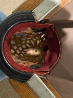 IMG_7939.jpeg