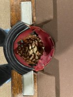 IMG_7937.jpeg