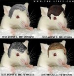 mice_in_wigs.jpg