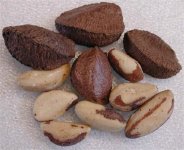 i-brazilnuts (Medium) (Small).jpg