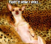dimp497e08fe2b92b[1].jpg