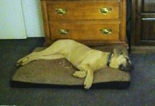 IMG_081122_040203.jpg