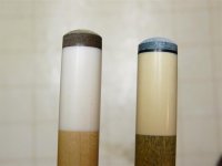 P1000367 (Medium).JPG