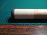 IMG_7177 (Small).JPG