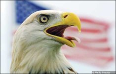 0cae53e8-f3a4-11dd-9c4b-0000779fd2ac[1].jpg