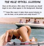 maleopticalillusion.jpg