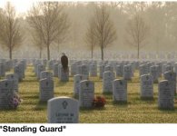 IMG_1138.jpeg