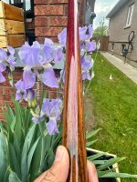 IMG_4558.jpeg