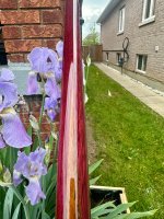 IMG_4559.jpeg