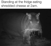 1750277018883.png