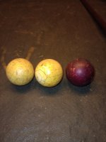 IMG_20250618_104026433.jpg