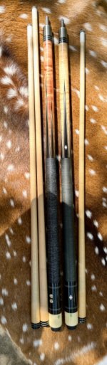 IMG_0243.jpeg