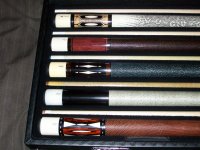 Some of my Schons.jpg