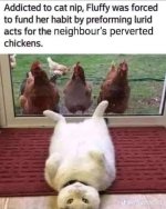 IMG_7209.jpeg