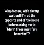 IMG_3737.jpeg