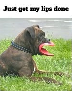 IMG_7216.jpeg