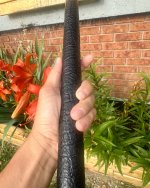 IMG_5779.jpeg