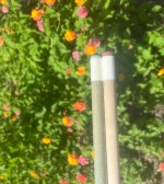 IMG_1476.jpeg