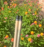 IMG_1475.jpeg