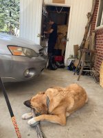 IMG_6955.jpeg