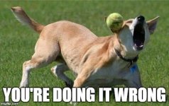 IMG_0782.jpeg