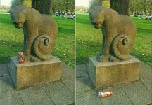 IMG_7271.jpeg
