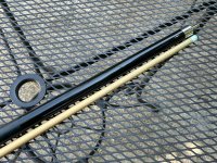 IMG_4461.jpeg