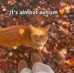 IMG_7289.jpeg