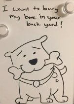 IMG_7302.jpeg