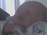 11-29-05_1337.jpg