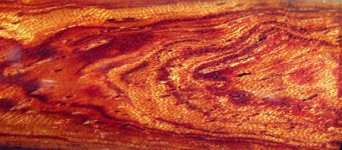bubinga3.jpg