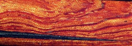 bubinga4.jpg