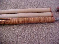 EP_2005_Forearm2.JPG