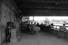 room under freeway.jpg