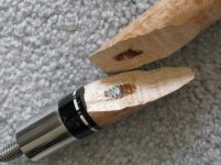 IMG_1154.jpg