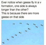 IMG_7327.jpeg