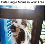 IMG_7343.jpeg