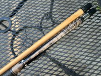IMG_4473.jpeg