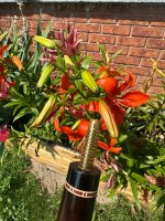 IMG_5457.jpeg