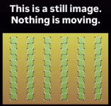 Screenshot 2025-09-11 135512.png